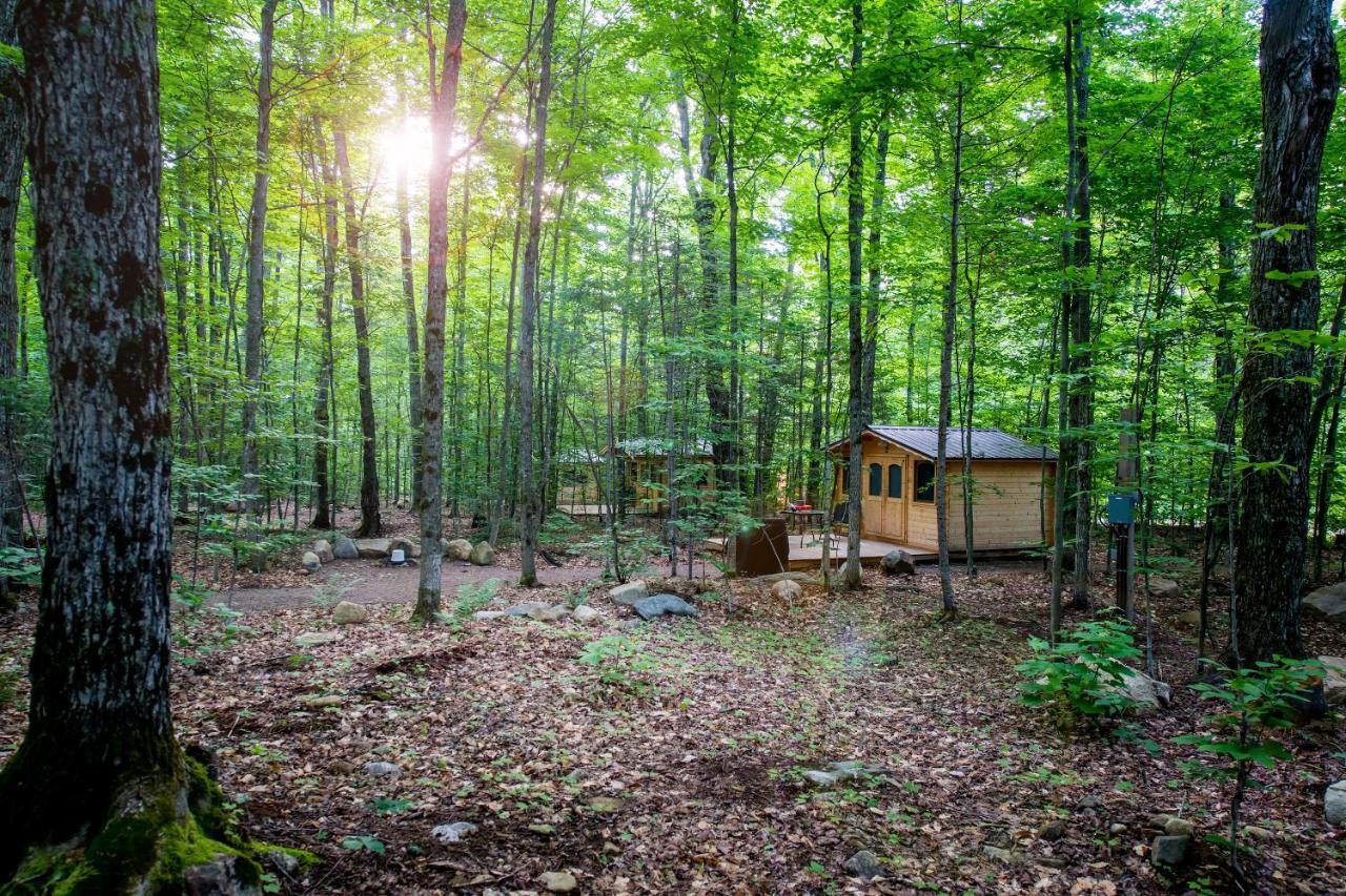Madawaska Lodge-Cottage Esterno foto