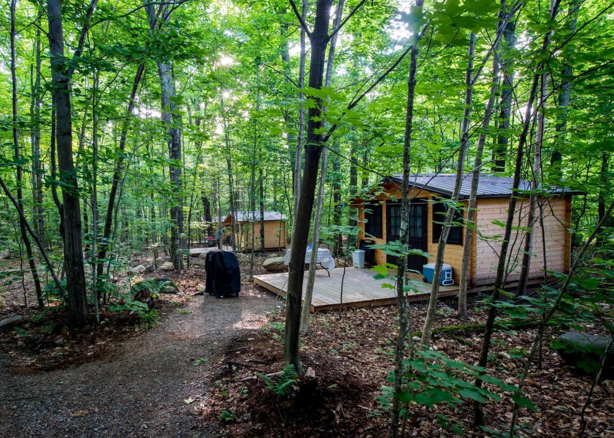 Madawaska Lodge-Cottage Esterno foto